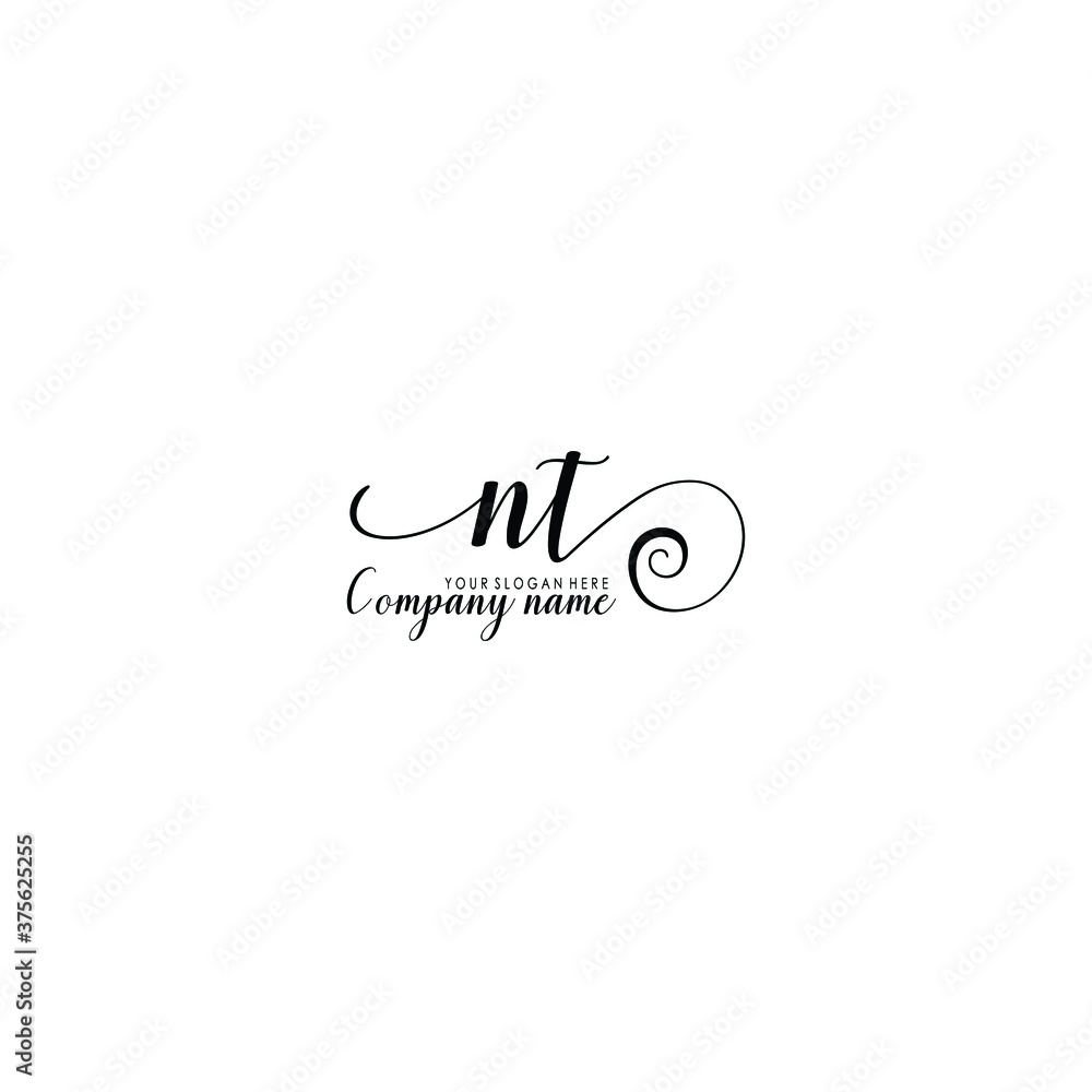 NT Initial handwriting logo template vector