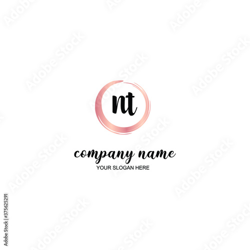 NT Initial handwriting logo template vector