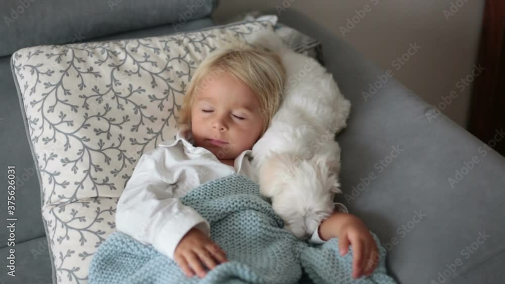 Sick child, toddler boy lying on the couch with his white puppy in living room with fever, resting at home Sick child, toddler boy lying on the couch with his white puppy in living room with fever, resting at home