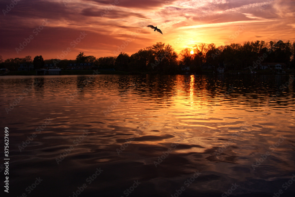 Colorful Red Sunset Over the Water with a Bird Flying in the Background