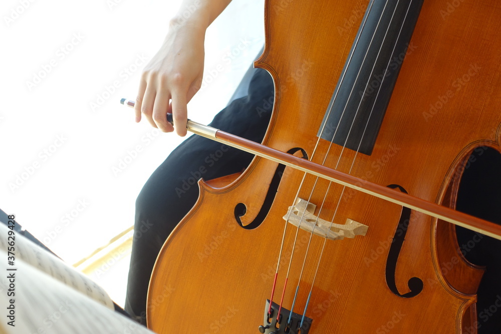 チェロを弾く女性　穏やかな光が射す部屋で　young woman playing the cello