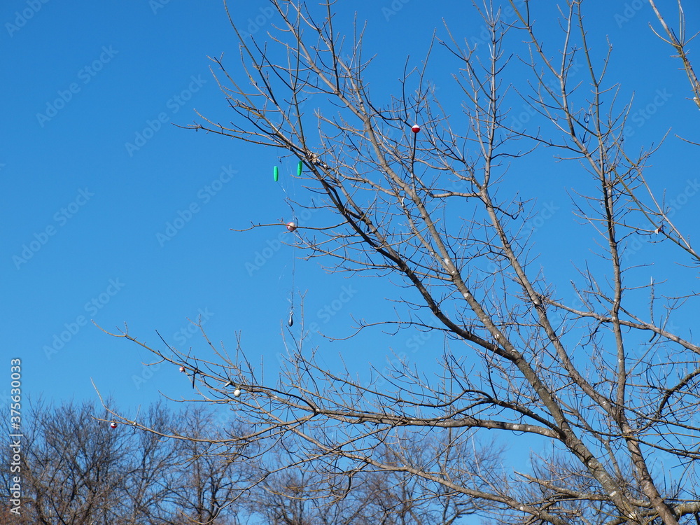 The fishing tree can be found along White Rock Creek before it flows into White Rock Lake. Fishermen loose a lot of tackle to the tree as they cast out into water.
The fishing tree can be found along White Rock Creek before it flows into White Rock Lake. Fishermen loose a lot of tackle to the tree as they cast out into water.