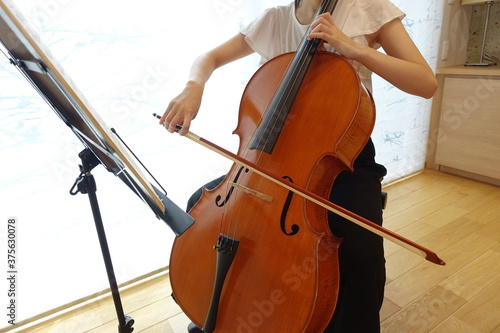 チェロを弾く女性 穏やかな光が射す部屋で young woman playing the cello