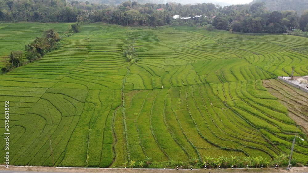 beautiful landscape view of rice terraces