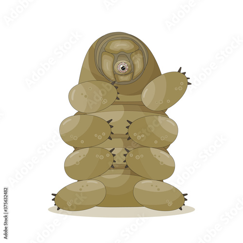 Brown isolated happy quirki cute cartoon vector tardigrade is sitting on white background