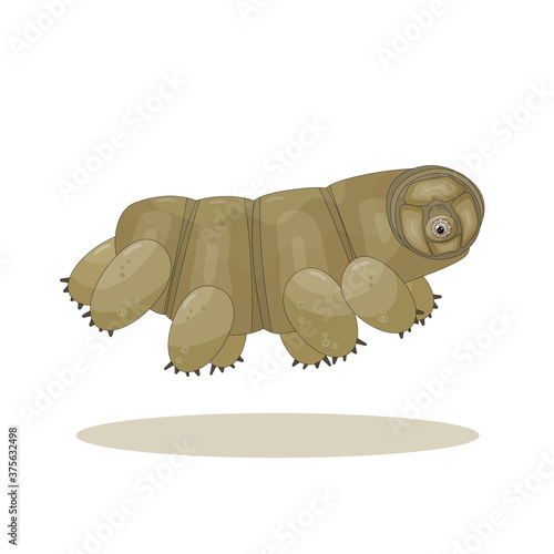Brown isolated happy quirki cute cartoon vector tardigrade is running and jumping on white background