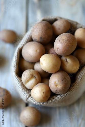 Selective focus. Small raw potatoes in a bag. Baby potatoes. Rustic style. Rustic potatoes.