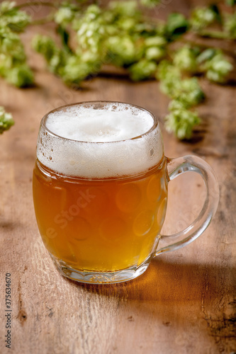 Classic glass mug of fresh cold foamy lager beer with green hop cones behind over wooden texture background. Copy space