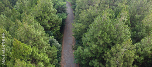 Aerial view of green summer forest with a road © herukru