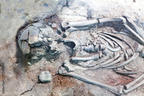 Fossil remains of an ancient man