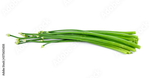 onion flower isolated on white.