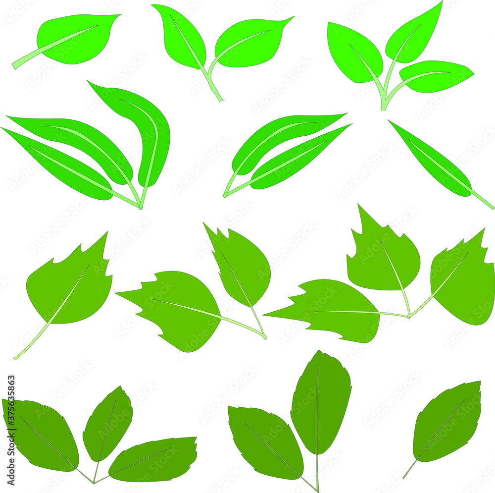 
set of plant leaves in green colors