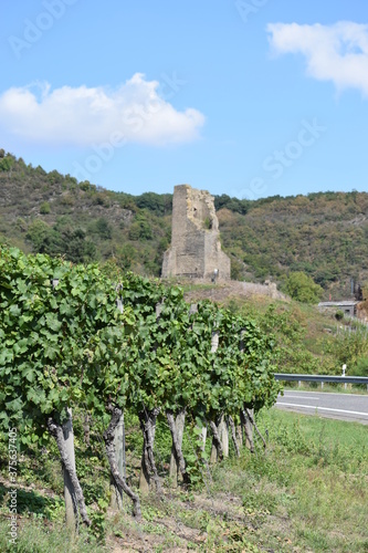 Weinberge vor der Ruine Coraidelsteinüber Klotten an der Mosel photo