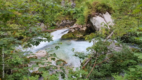 Wald Fluss Stein Gebirgsbach Steine Wildbach