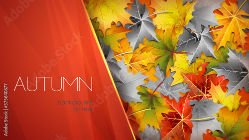 Autumn red background for text with foliage