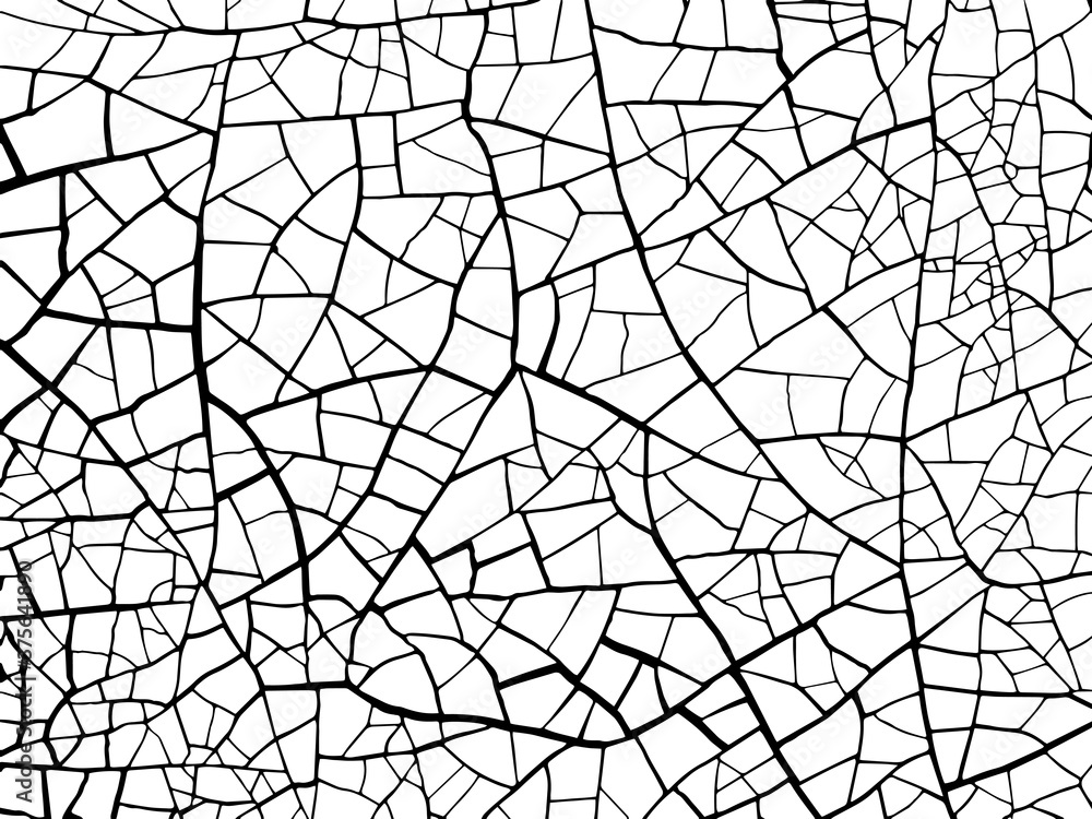 Obraz premium The cracks texture white and black. Vector background. Structure of cracking. Cracks in dry surface soil texture. shards