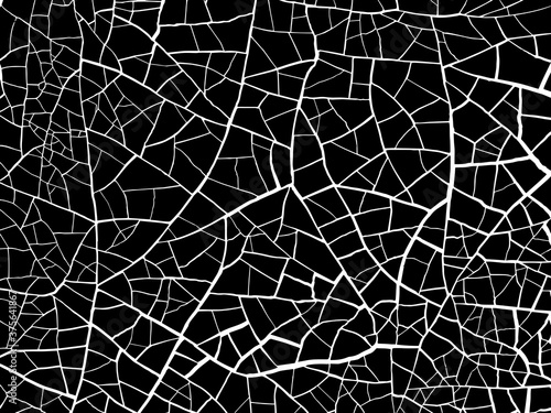The cracks texture white and black. Vector background.  Structure of cracking.  shards
