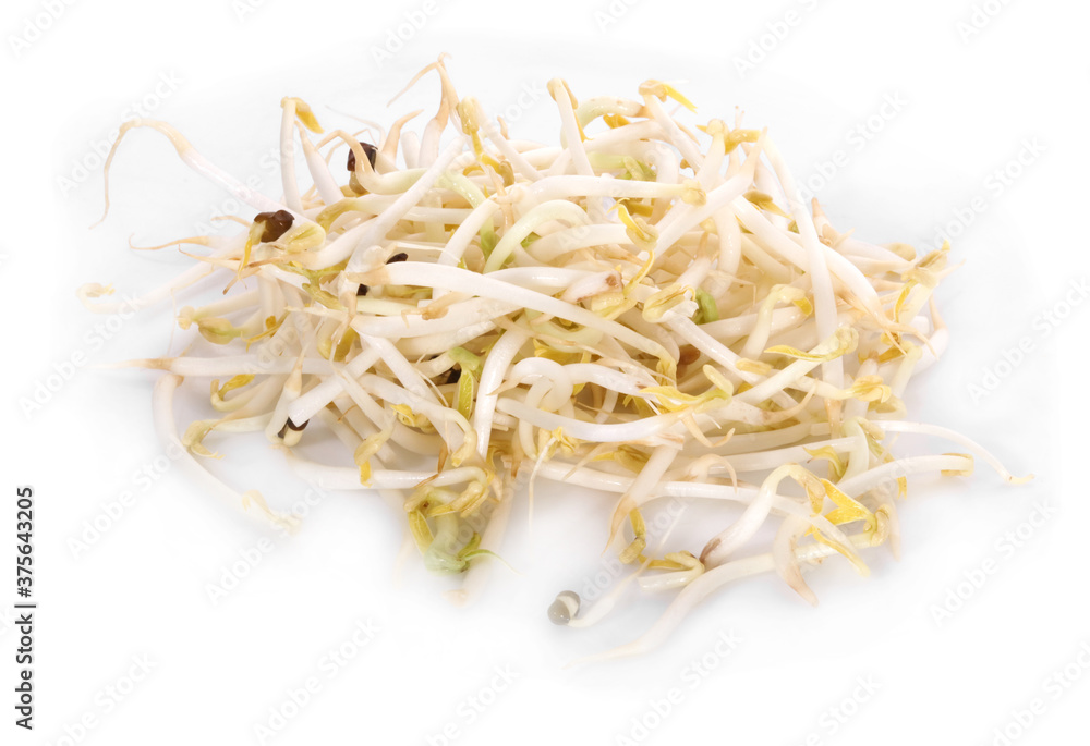 Bean Sprouts on White Background