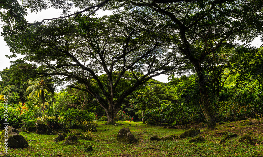Voyage en Martinique 2020