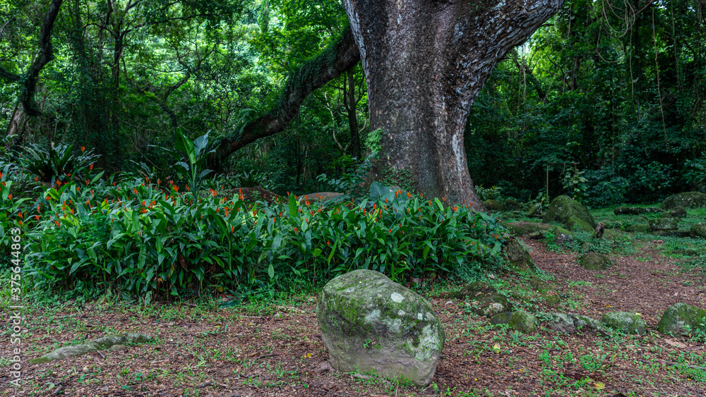 Voyage en Martinique 2020