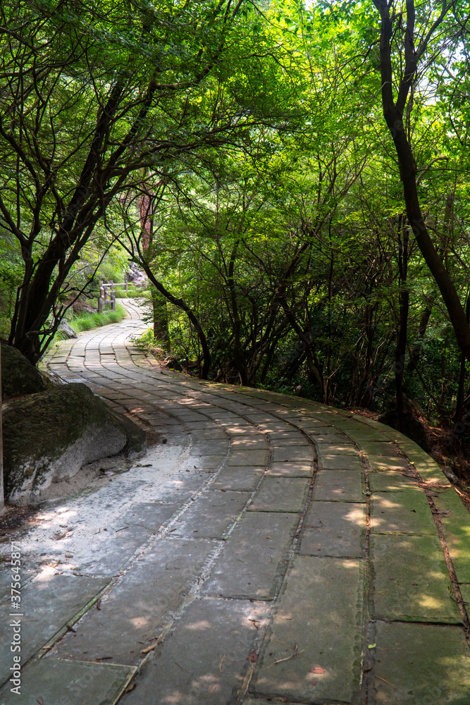 Obraz premium 長崎県雲仙市 雲仙地獄