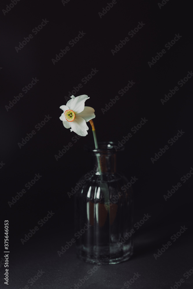 flower in a vase flower in a vase