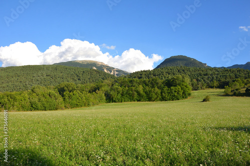 Green Meadow surrounded by Mountains in The Pyrenees Spanish Mountains