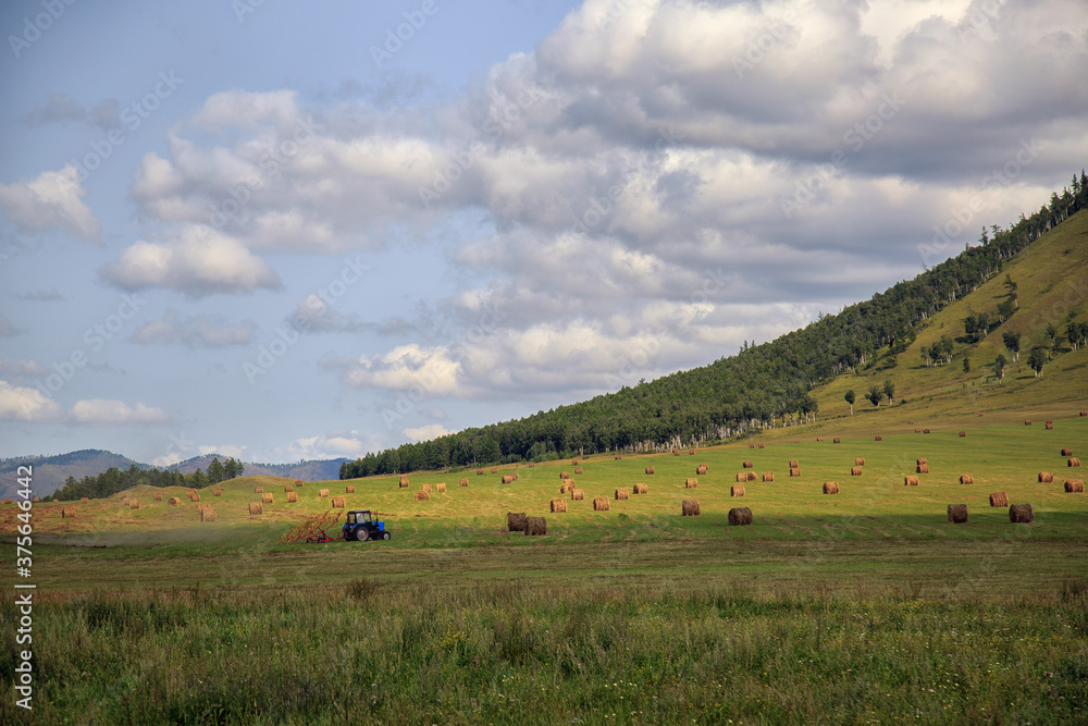 Rural autumn landscape. A tractor on a green field collects hay into bales. In the background there are beautiful mountains, a blue sky with white clouds. Harvesting, agriculture.