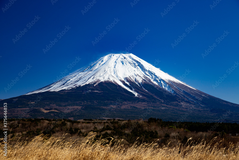 Naklejka premium 冬富士野原