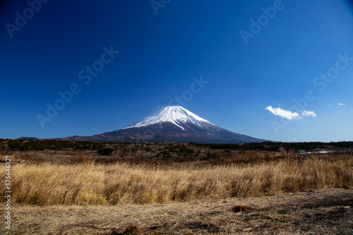 冬富士高原