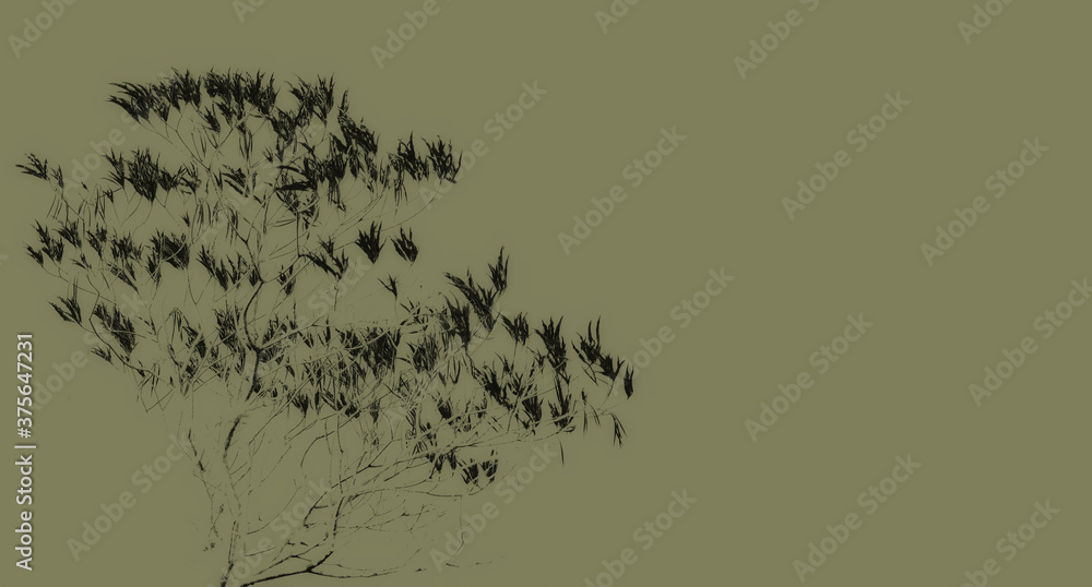Abstract of leaves and branches