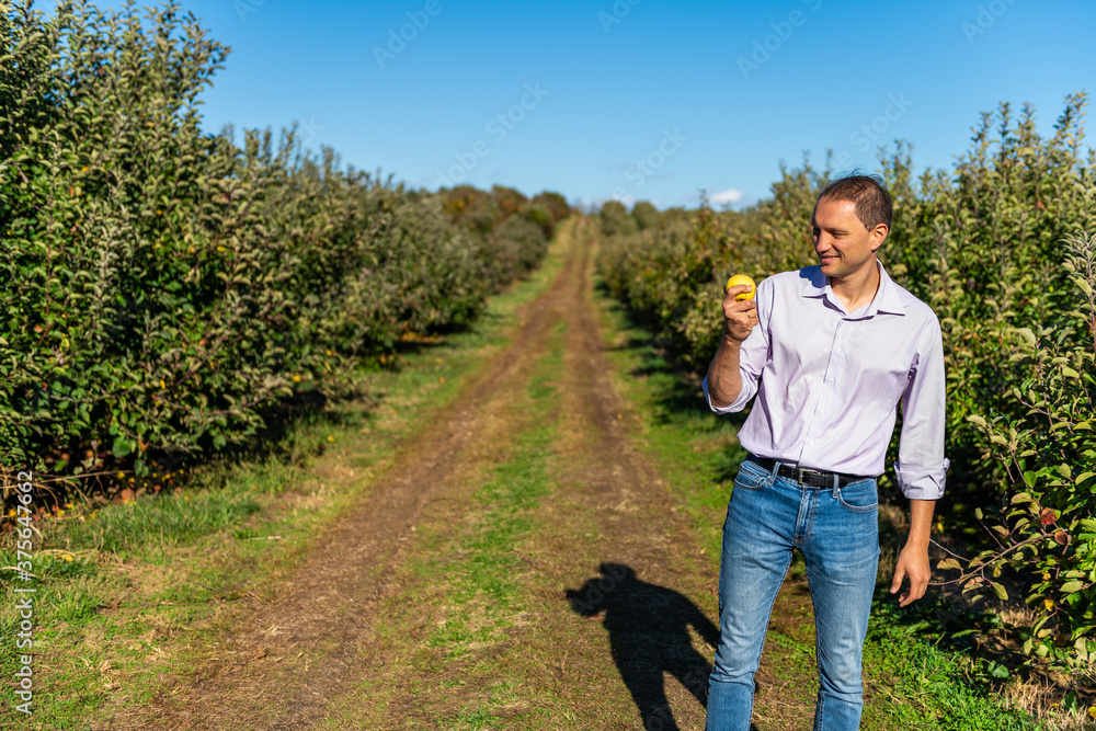 Apple orchard trees farm and happy man farmer holding yellow golden apples in background at garden autumn fall countryside in Virginia Apple orchard trees farm and happy man farmer holding yellow golden apples in background at garden autumn fall countryside in Virginia