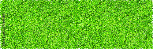 Top view grass field, football field. Green grass ground, lawn texture background pattern. Concept for sport banner. Play, team sports. Flat vector playing on grassy field signs. Full frame artificial