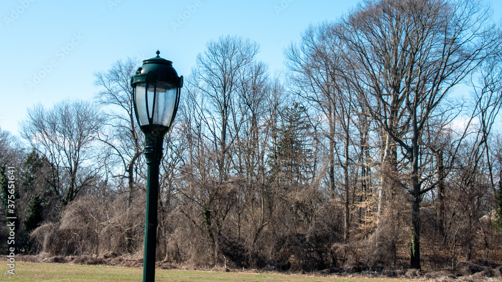 A Black Metal Light Post in a Large Field A Black Metal Light Post in a Large Field