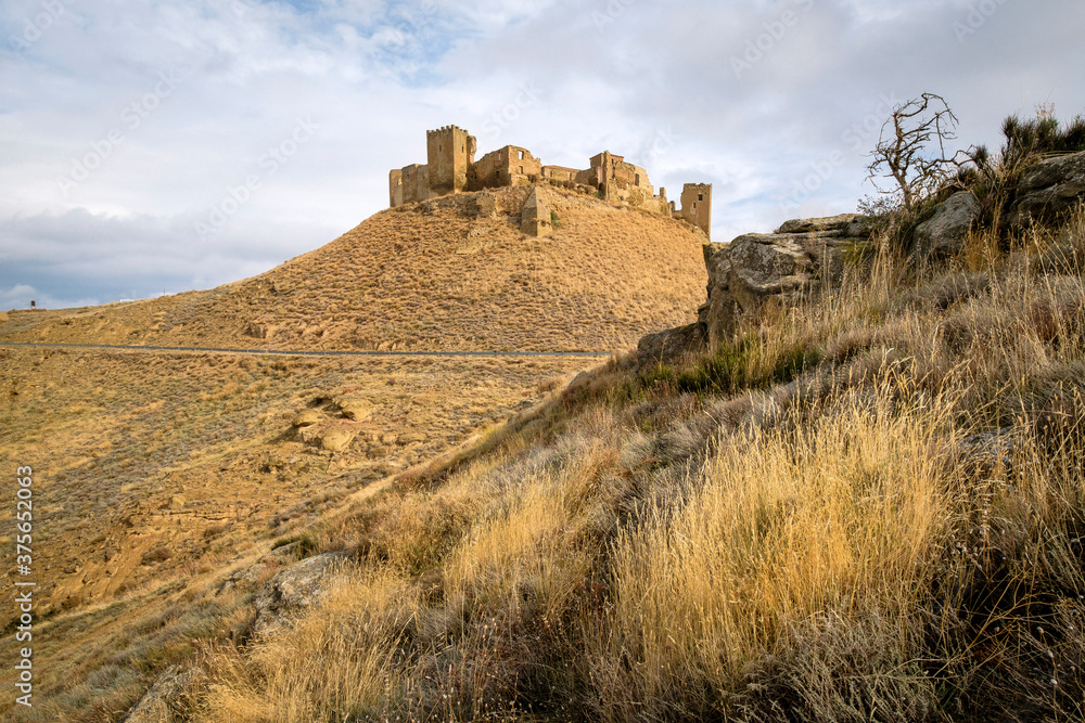 Castle of Montearagón, XI century, municipality of Quicena, Huesca, declared National Monument in 1931, cordillera pirenaica, provincia de Huesca, Aragón , Spain, europe