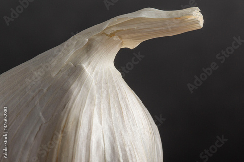 Garlic close-up.
