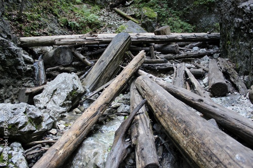 old log cabin