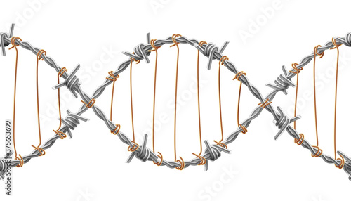 Barbed wires twisted and tied like a DNA spiral. Replicable vector realistic illustration.