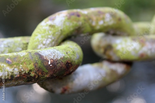 rusty chain link