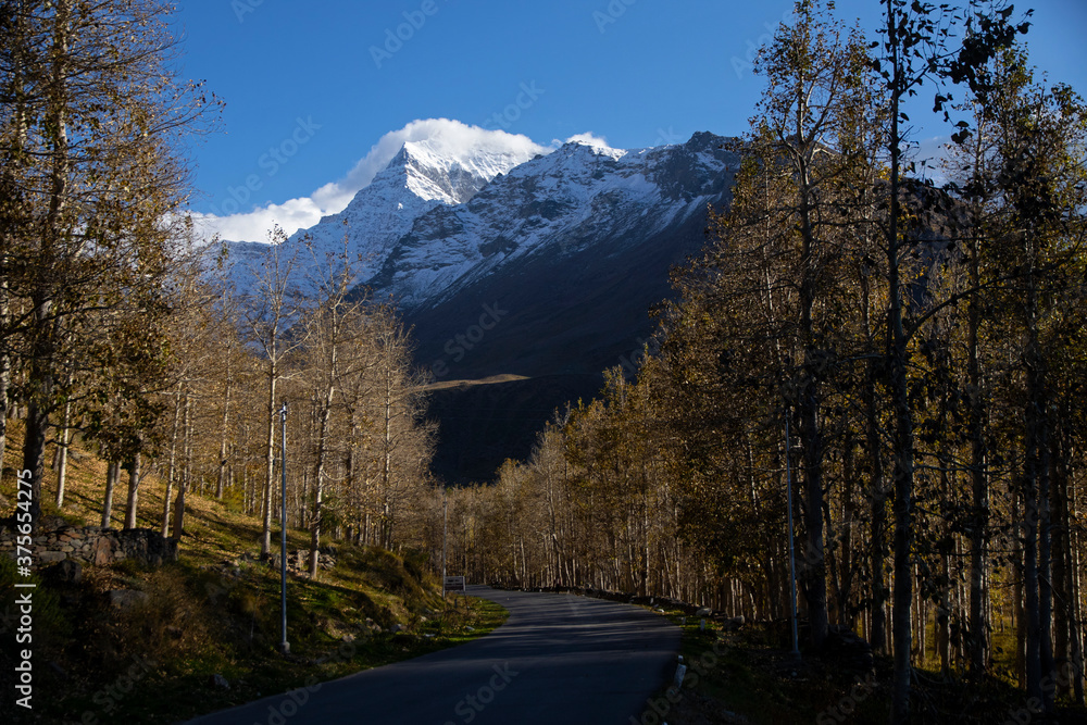 A road through the woods in Spiti Valley during fall with snow peaks in background, clear blue sky, light and shadow. A road through the woods in Spiti Valley during fall with snow peaks in background, clear blue sky, light and shadow.