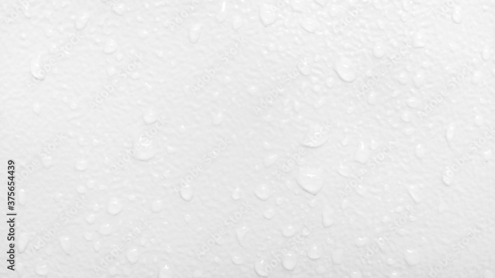 Water droplets perched on a white background.