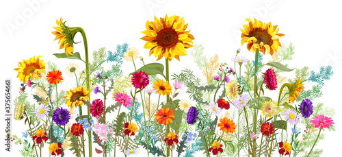 Horizontal autumn’s border: sunflowers, aster, thistles, gerbera, marigold, daisy flowers, small green twigs on white background. Digital draw, illustration in watercolor style, panoramic view, vector