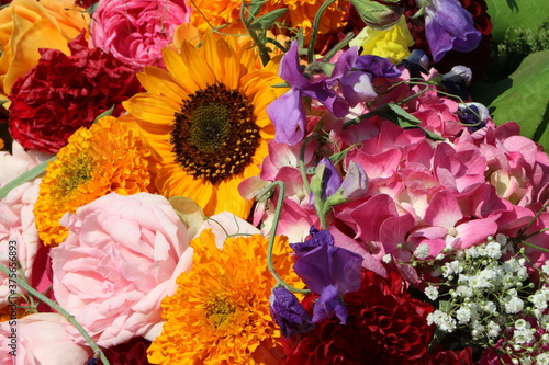 Blumenstrauß, Blumengesteck mit bunten Blüten, gemischte Blumen in einem Bouquet mit Sonnenblumen, Tagetes und Rosen