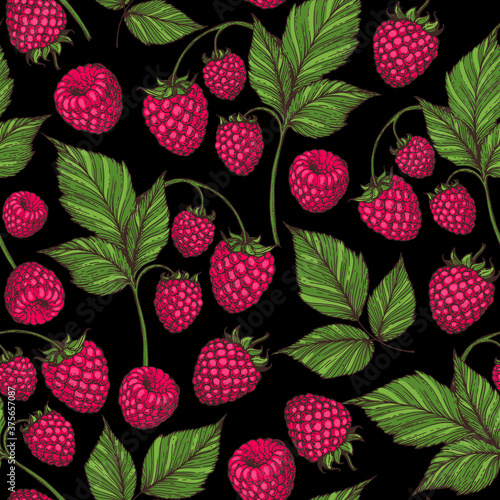 Seamless pattern with raspberries, raspberry leaves. Hand drawn background. Colorful raspberries illustration. Vector illustration.