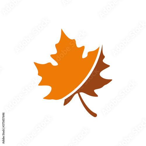 maple leave logo design vector