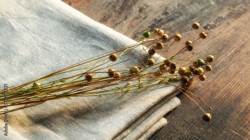 Bunch of dry flax plants on linen cloth