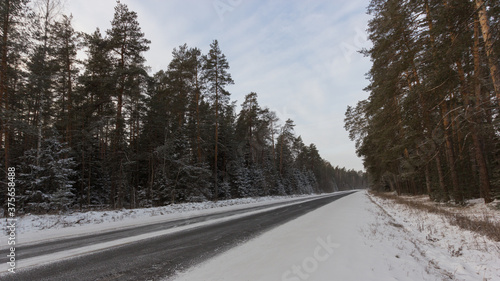 Russia Vladimir - Murom highway coniferous forest winter