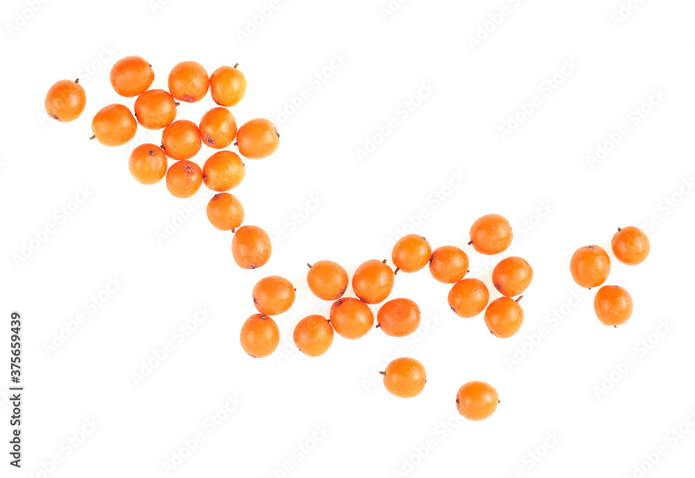 Fresh berries of sea buckthorn isolated on a white background, top view. Fresh berries of sea buckthorn isolated on a white background, top view.