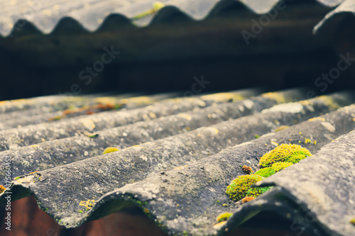 An old blackened slate roof covered with green moss. Roofing of an old village building.