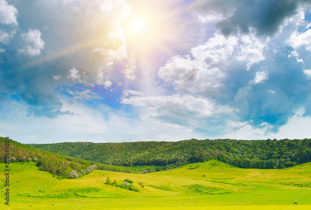 beautiful landscape of hilly fields with green grass beautiful landscape of hilly fields with green grass